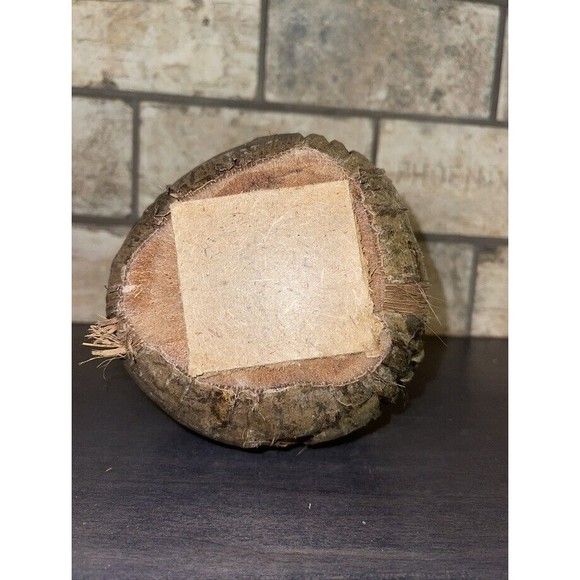 Vintage Hawaii Souvenir Coconut Monkey Coin Bank Home Decor - Picture 5 of 6